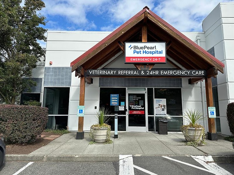 BluePearl Pet Hospital Kirkland
