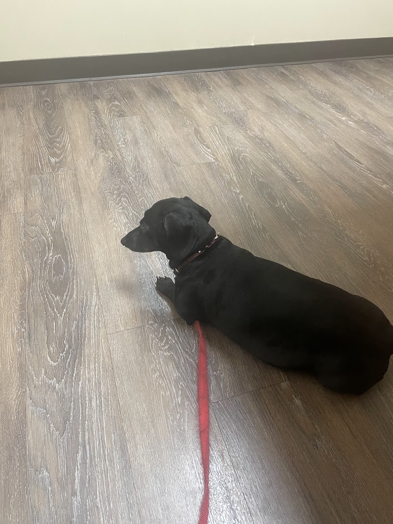 Deerfield Animal Hospital