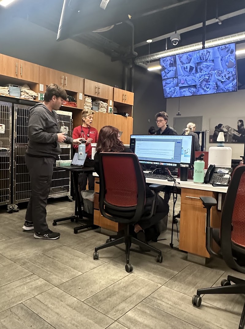 Veterinary Emergency Group