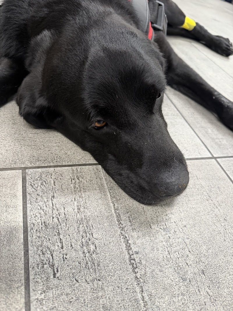 Veterinary Emergency Group