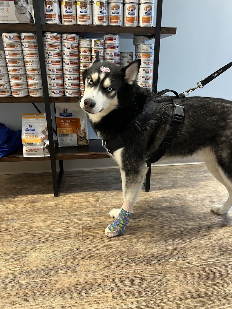 Veterinary Urgent Care Center - Saugus