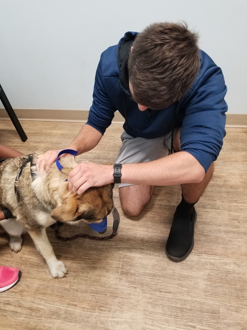 Veterinary Urgent Care Center - Saugus