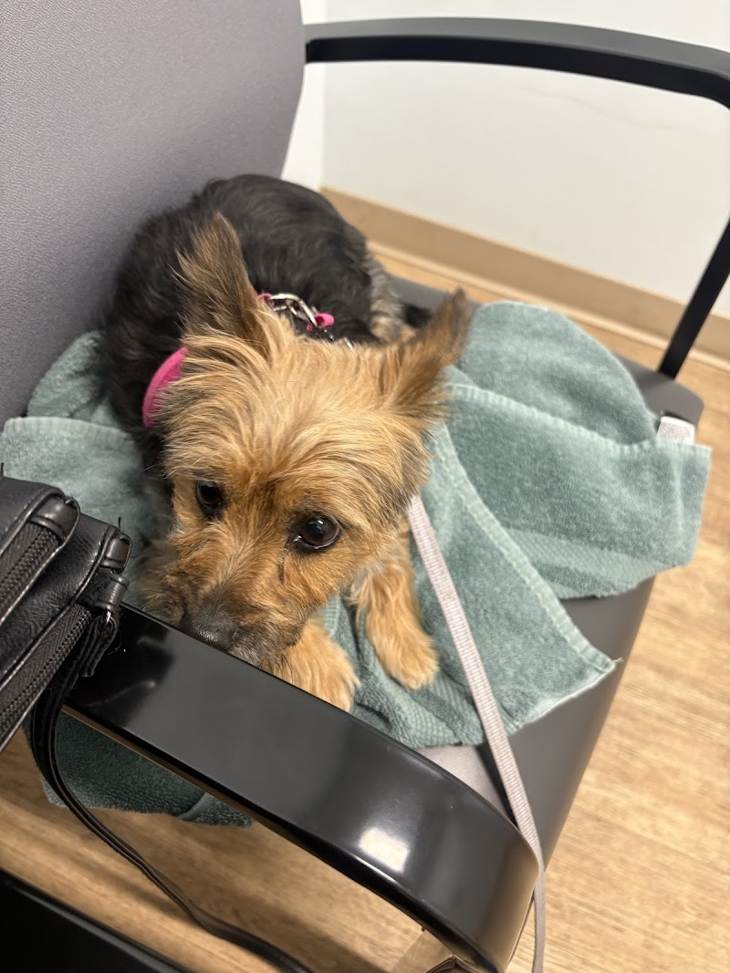 Veterinary Urgent Care Center - Saugus