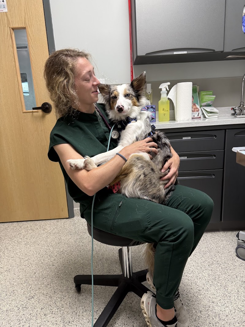 North Dallas Veterinary Emergency & Specialty Hospital