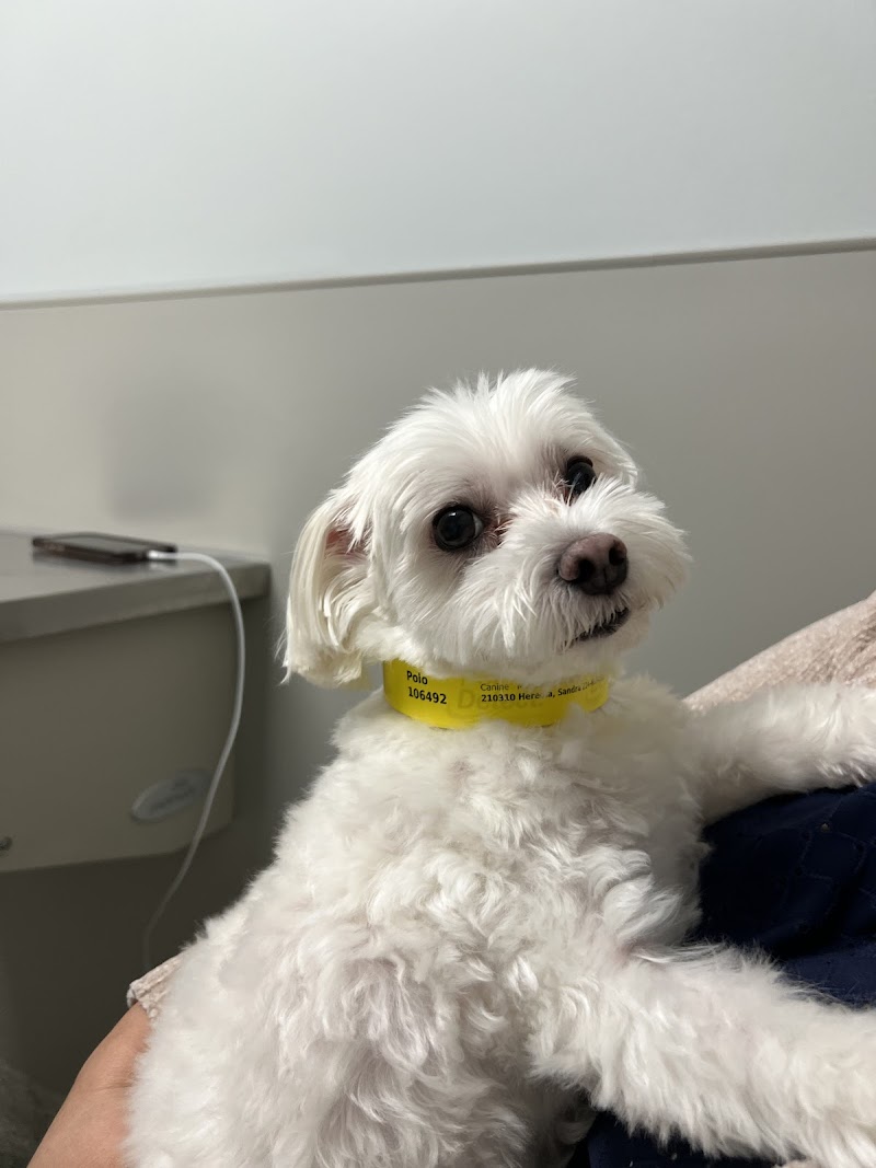 North Dallas Veterinary Emergency & Specialty Hospital
