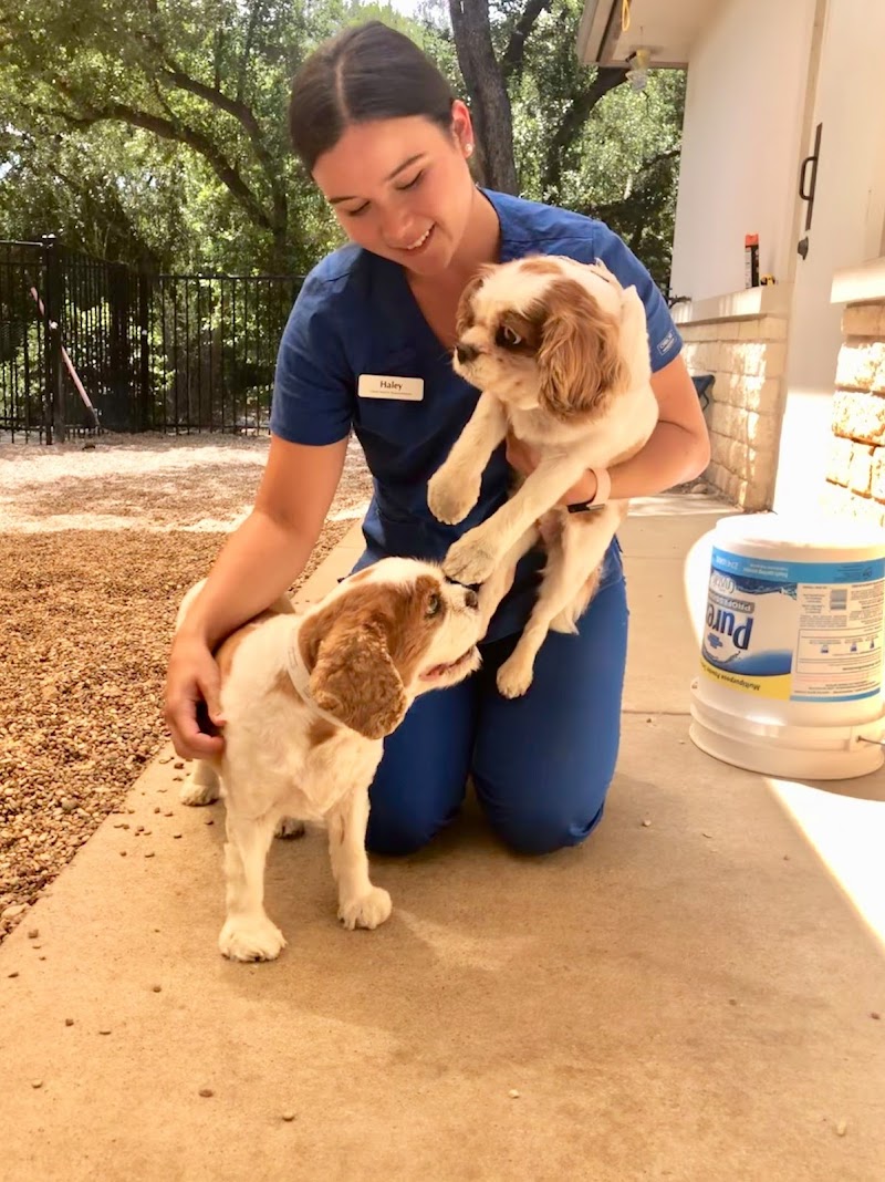 BEEVET Animal Hospital