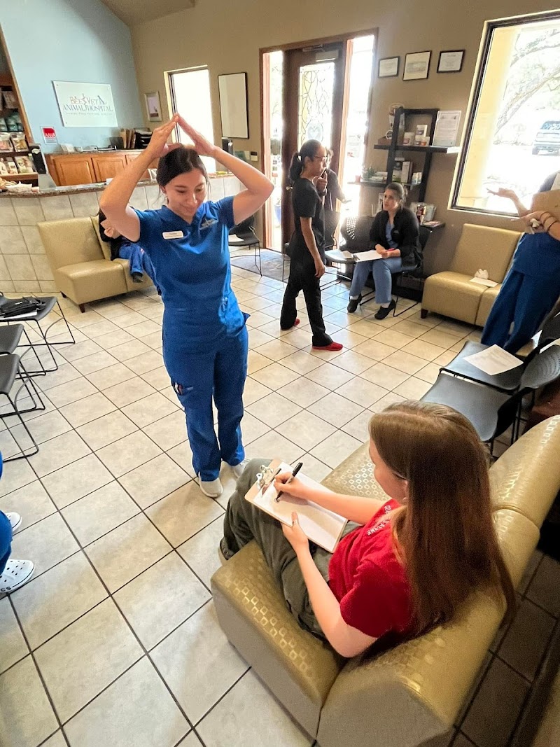 BEEVET Animal Hospital
