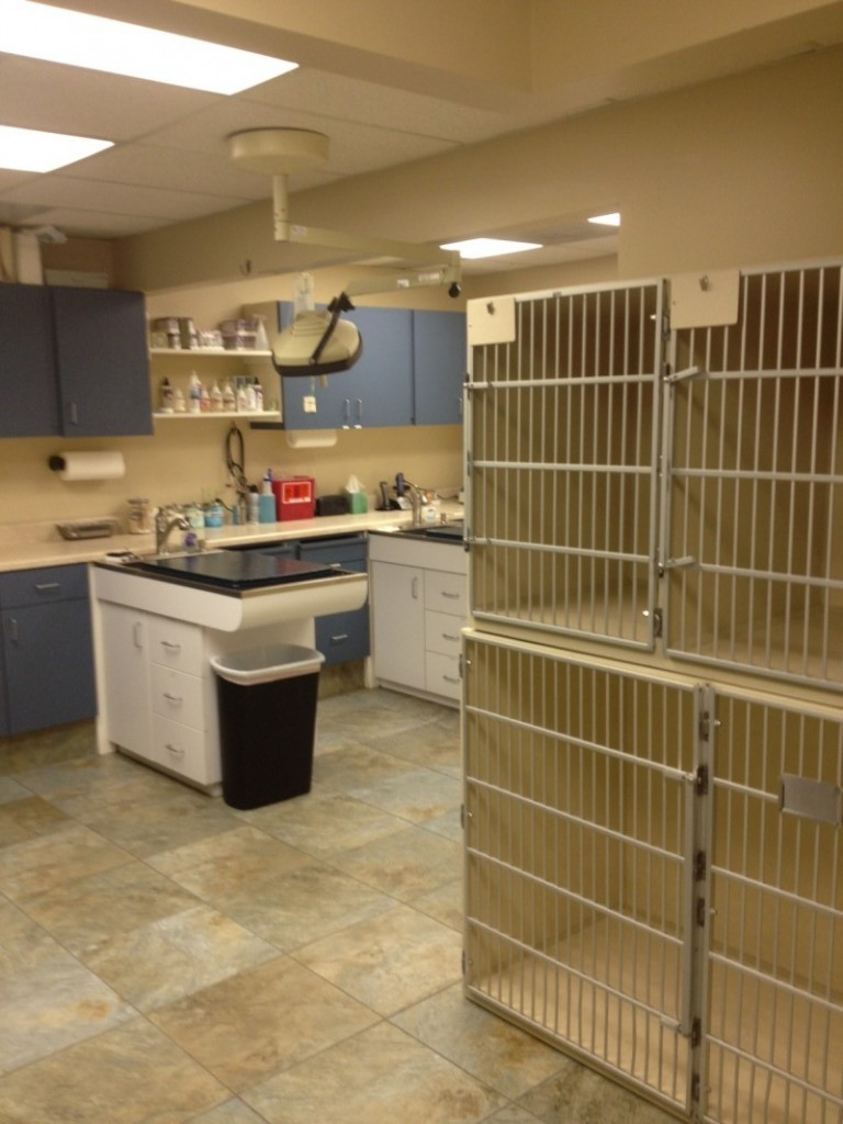 Goldsmith Veterinary Clinic