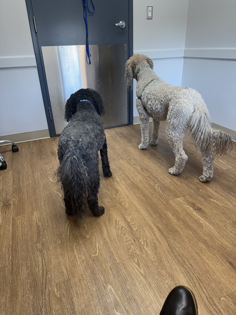 Goldsmith Veterinary Clinic