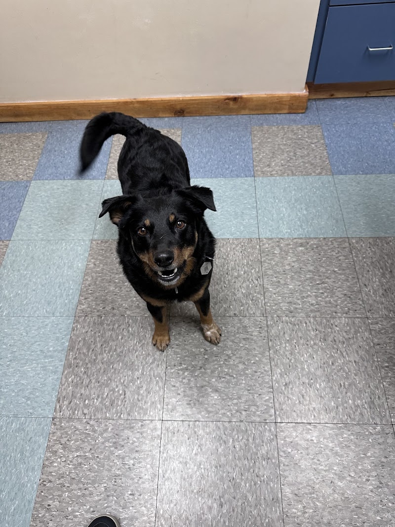 Goldsmith Veterinary Clinic