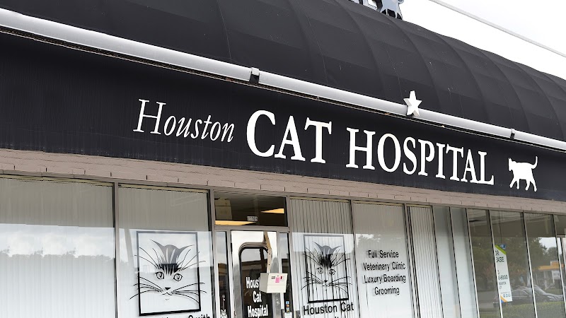 Houston Cat Hospital