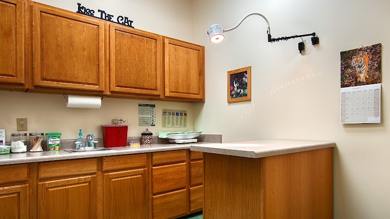 Houston Cat Hospital