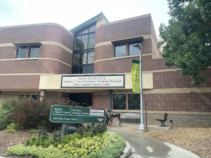 CSU Flint Animal Cancer Center