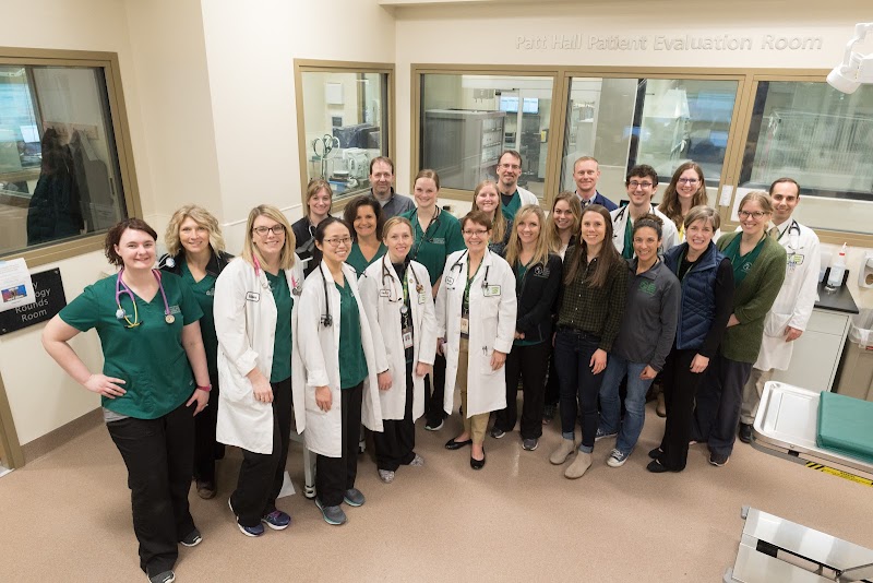 CSU Flint Animal Cancer Center - Fort Collins