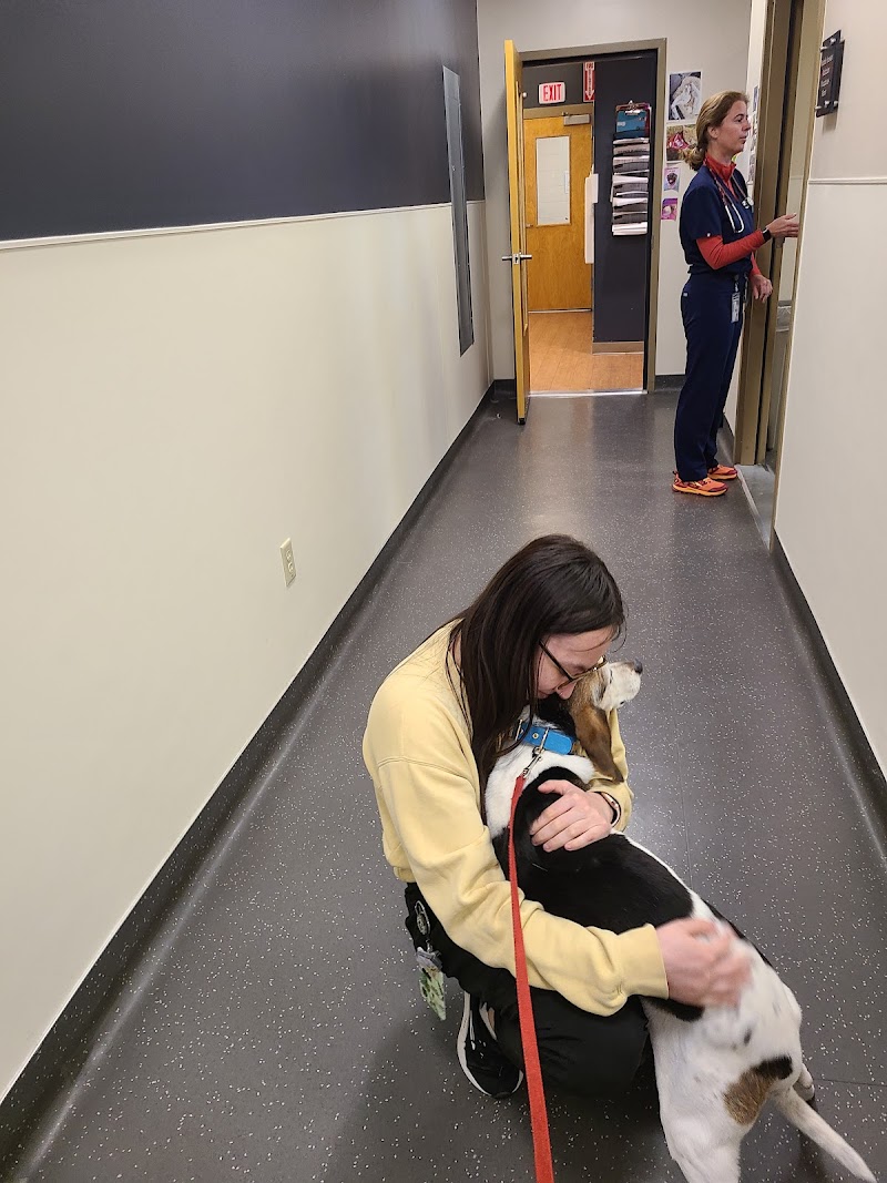 CSU Flint Animal Cancer Center