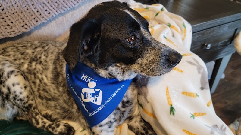 CSU Flint Animal Cancer Center