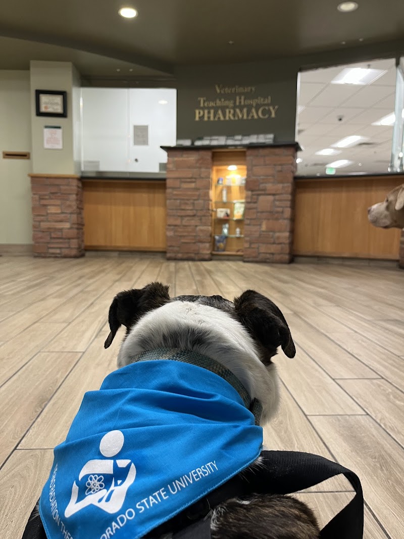 CSU Flint Animal Cancer Center