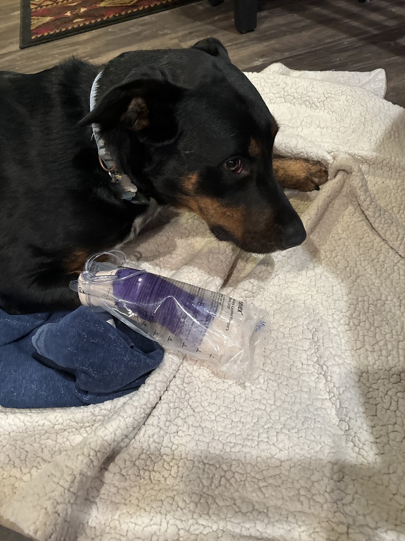 Front Range Veterinary Clinic