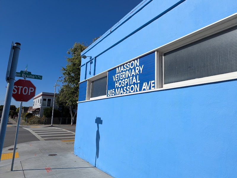 Masson Veterinary Hospital