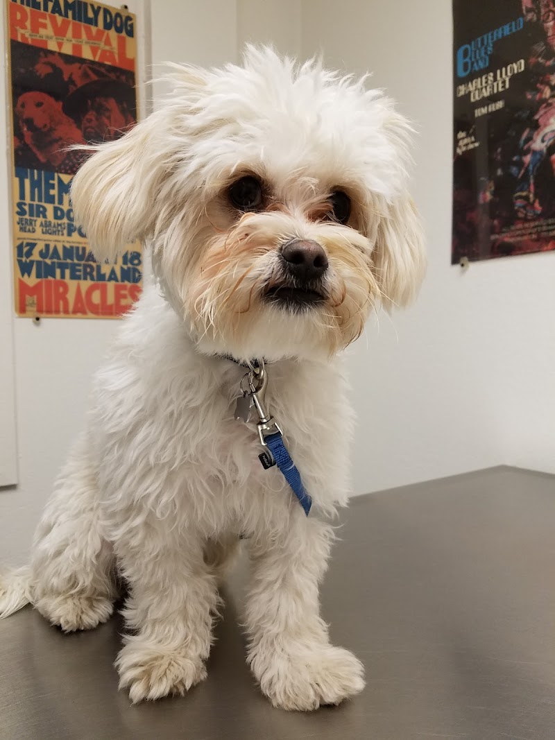 Masson Veterinary Hospital