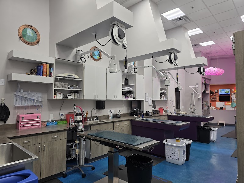 Johnstown Veterinary Hospital, LLC