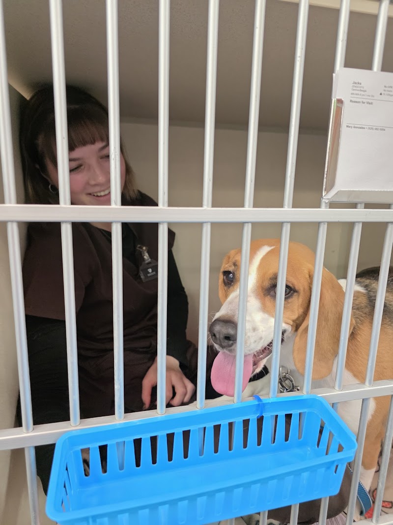 Johnstown Veterinary Hospital, LLC