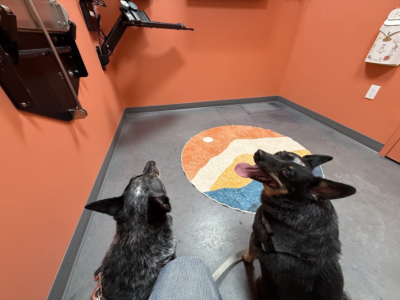 Johnstown Veterinary Hospital, LLC