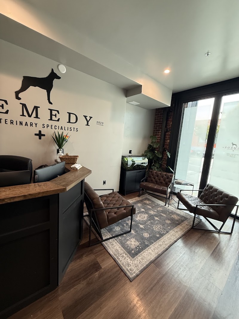 Remedy Veterinary Specialists