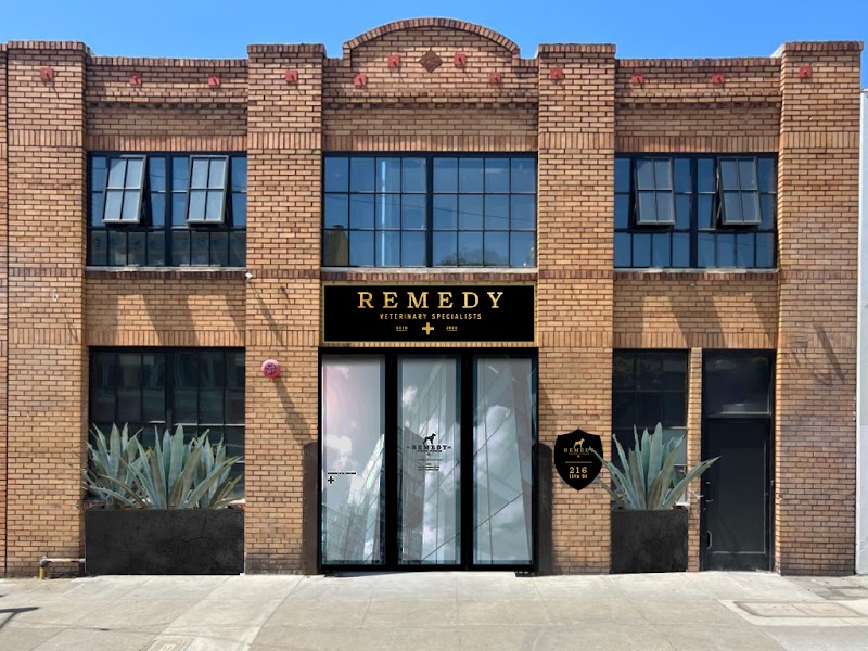 Remedy Veterinary Specialists