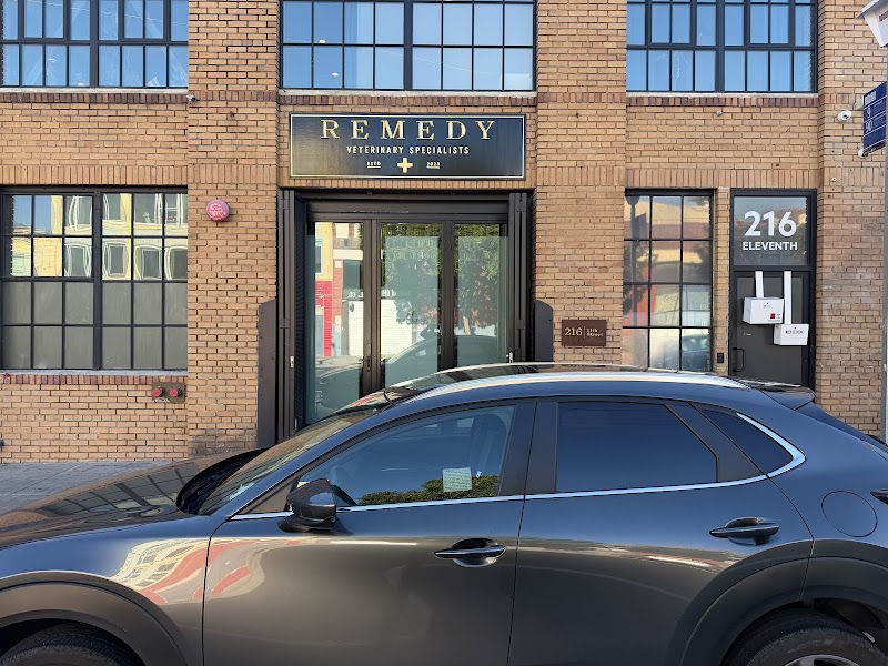 Remedy Veterinary Specialists
