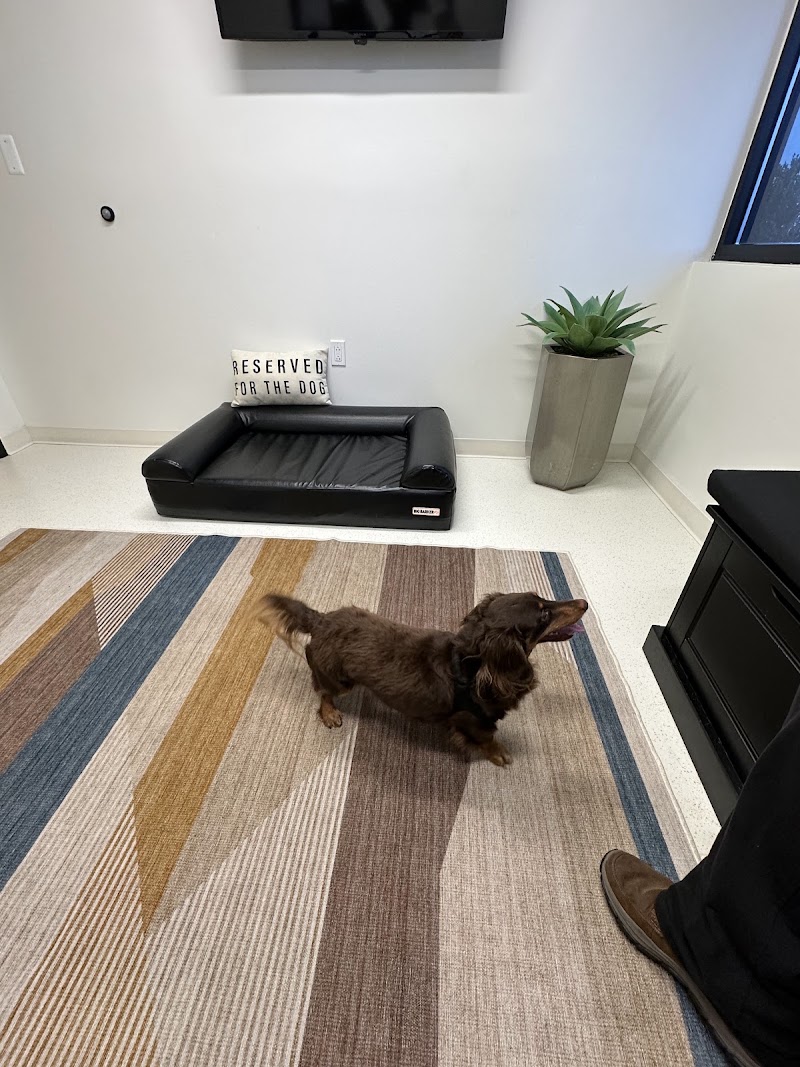 The Animal Neurology Center