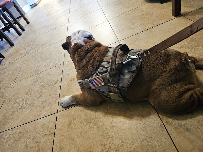 Evergreen Animal Care Center