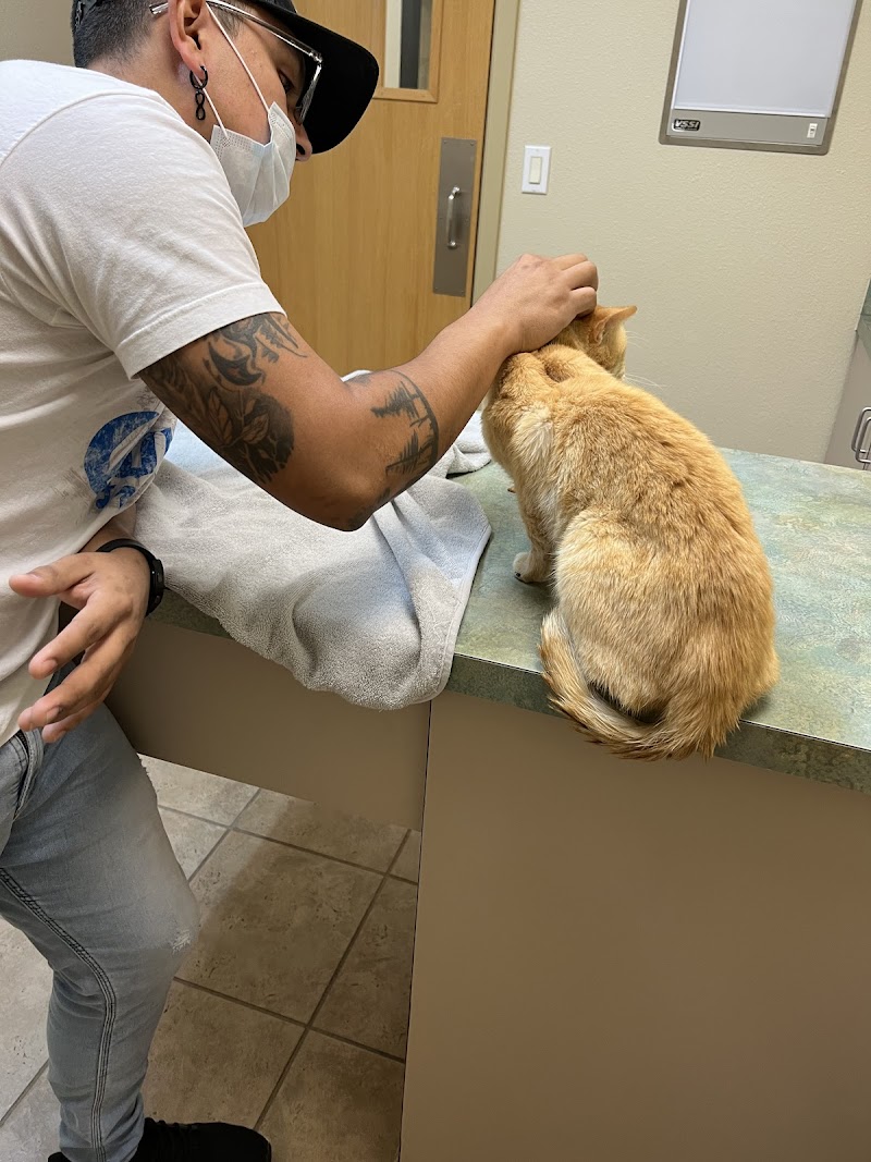Crossroads Animal Clinic