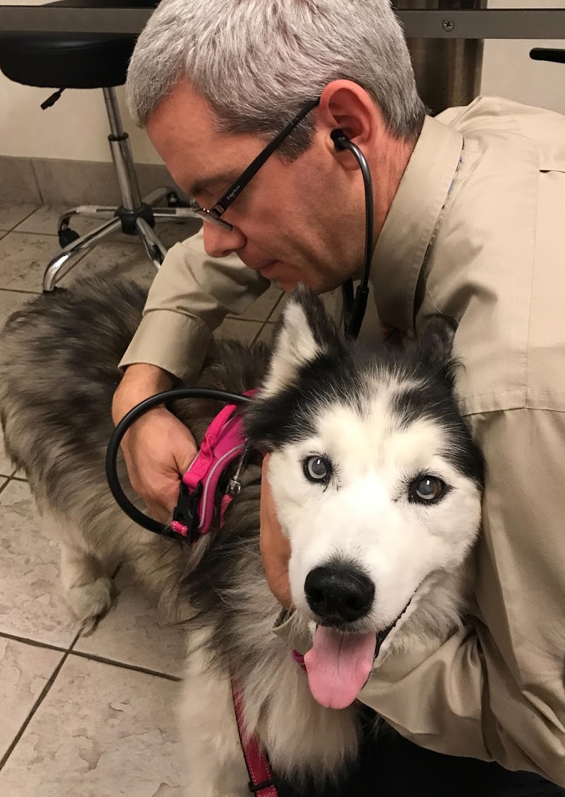 Oradell Animal Hospital - Paramus