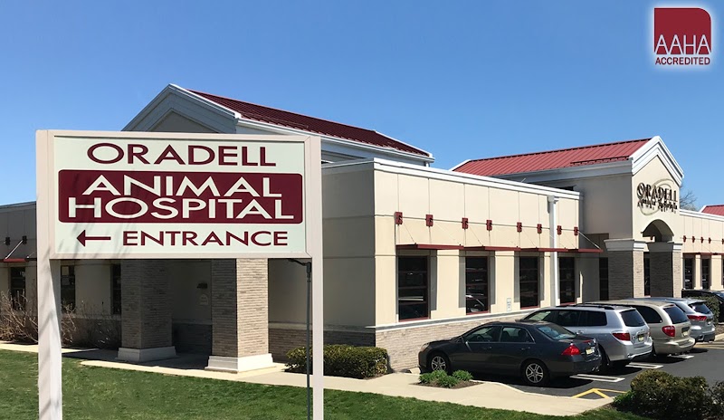 Oradell Animal Hospital - Paramus
