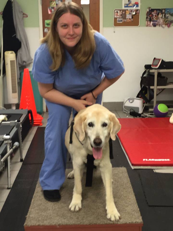 Oradell Animal Hospital - Paramus