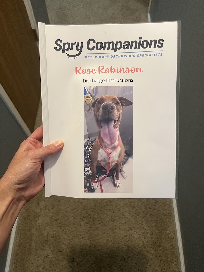 Spry Companions: Veterinary Orthopedic Specialists