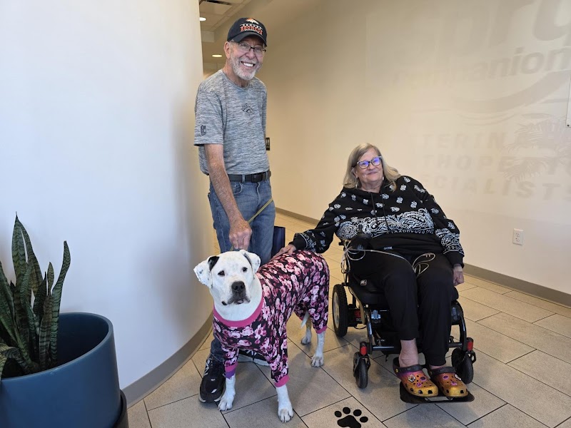 Spry Companions: Veterinary Orthopedic Specialists