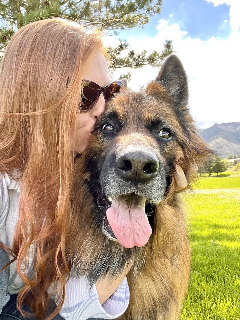 Spry Companions: Veterinary Orthopedic Specialists