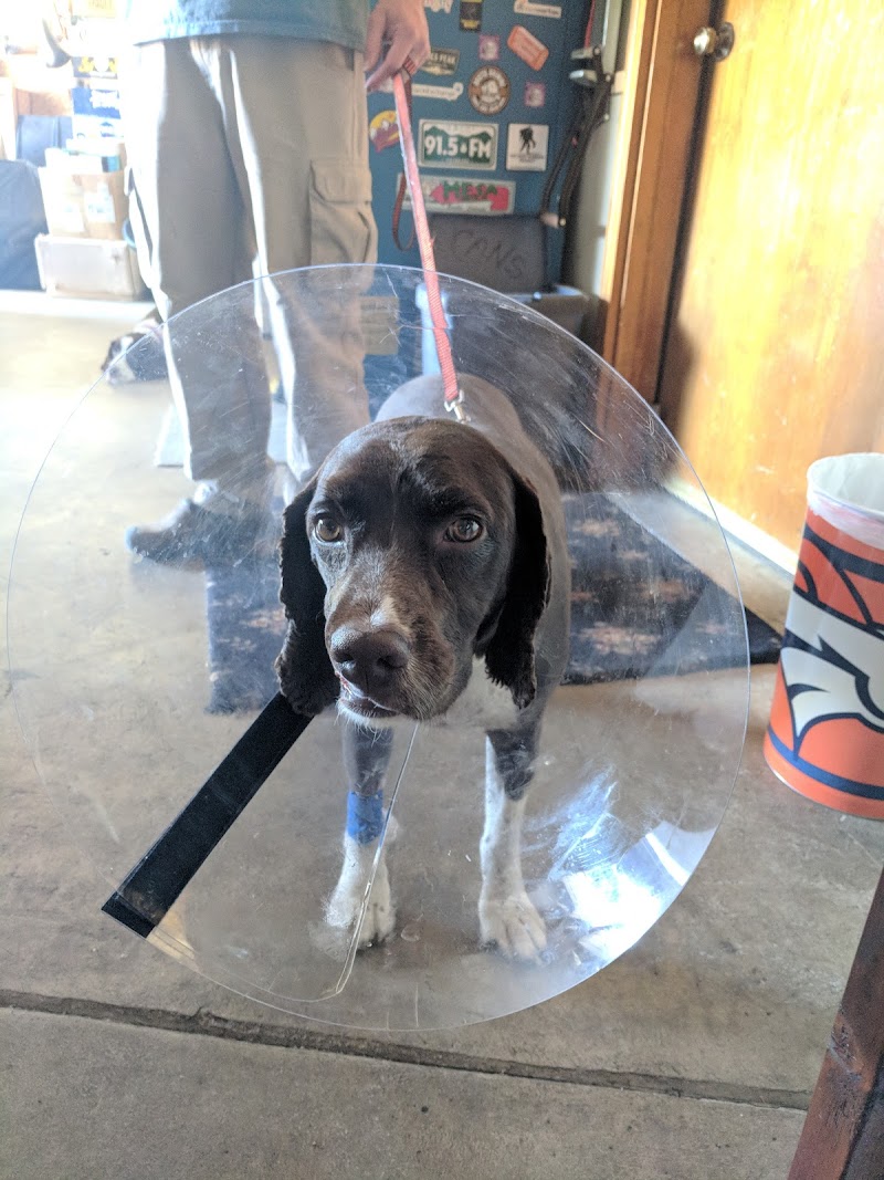 VRCC Veterinary Specialty and Emergency Hospital (Radiation Oncology)