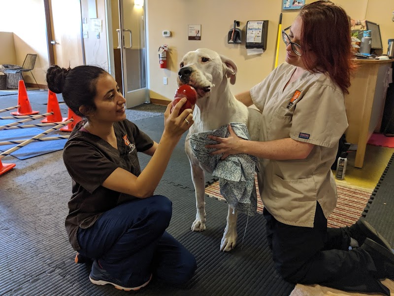 Holistic Veterinary Care