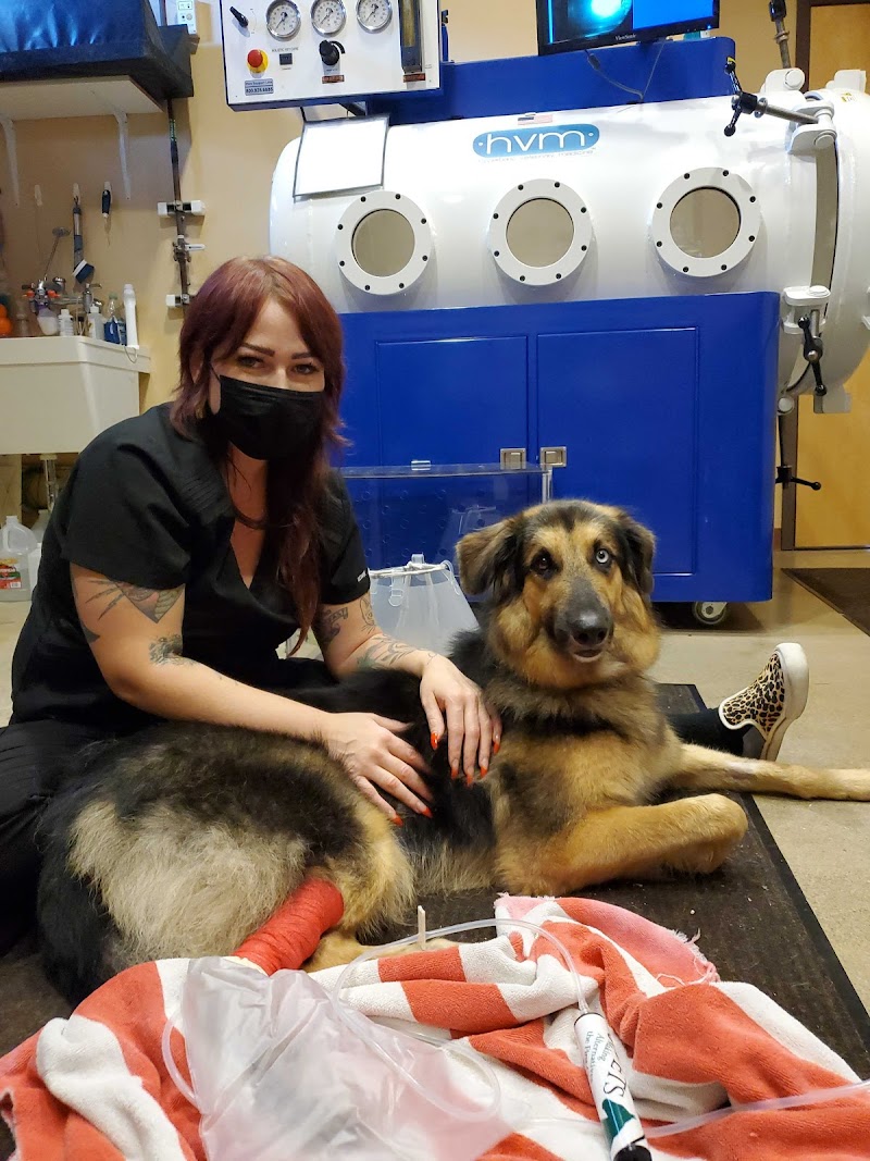 Holistic Veterinary Care