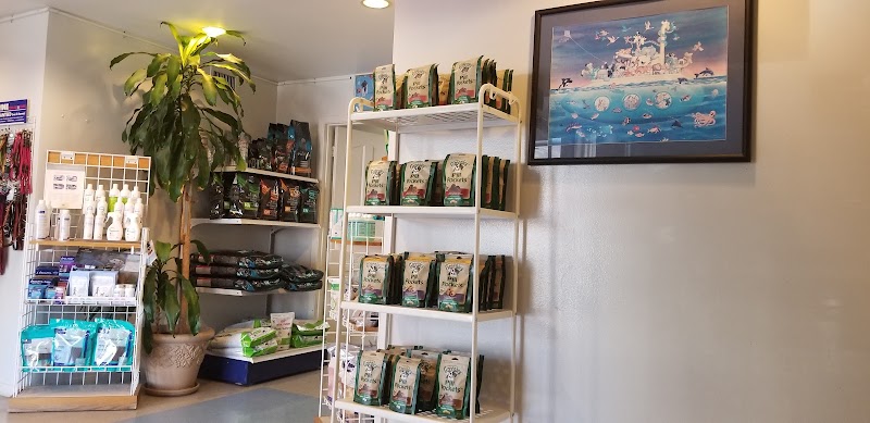 Noah's Ark Animal Hospital
