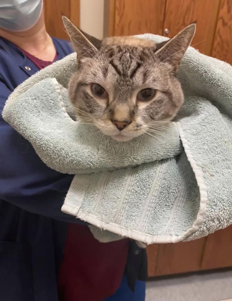 BluePearl Pet Hospital
