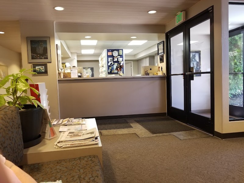 The Cat Hospital