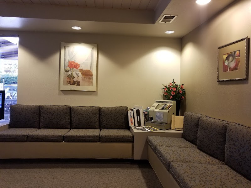 The Cat Hospital