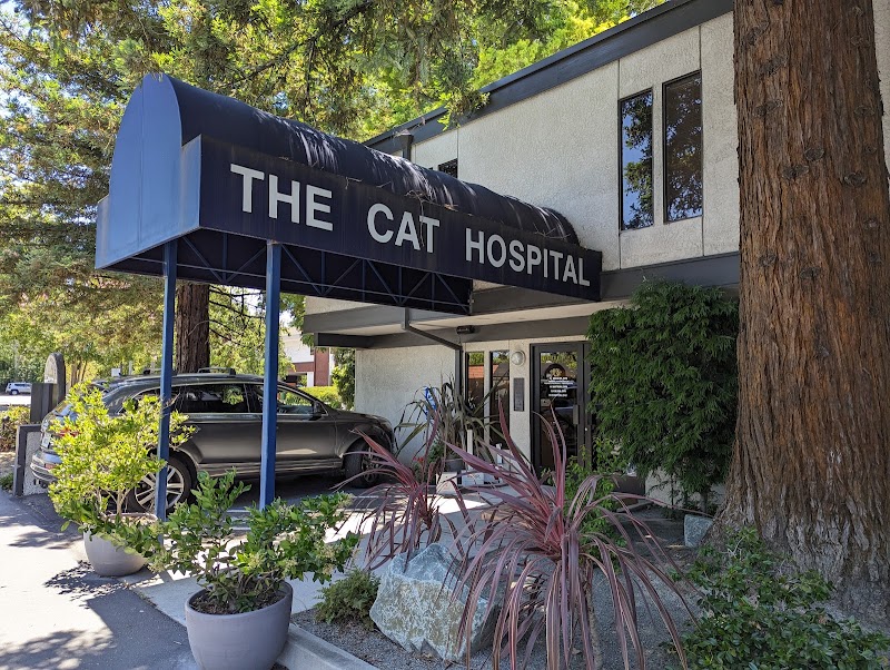 The Cat Hospital - Campbell