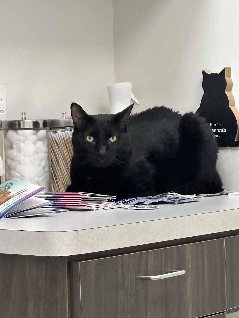 NDS Animal Hospital
