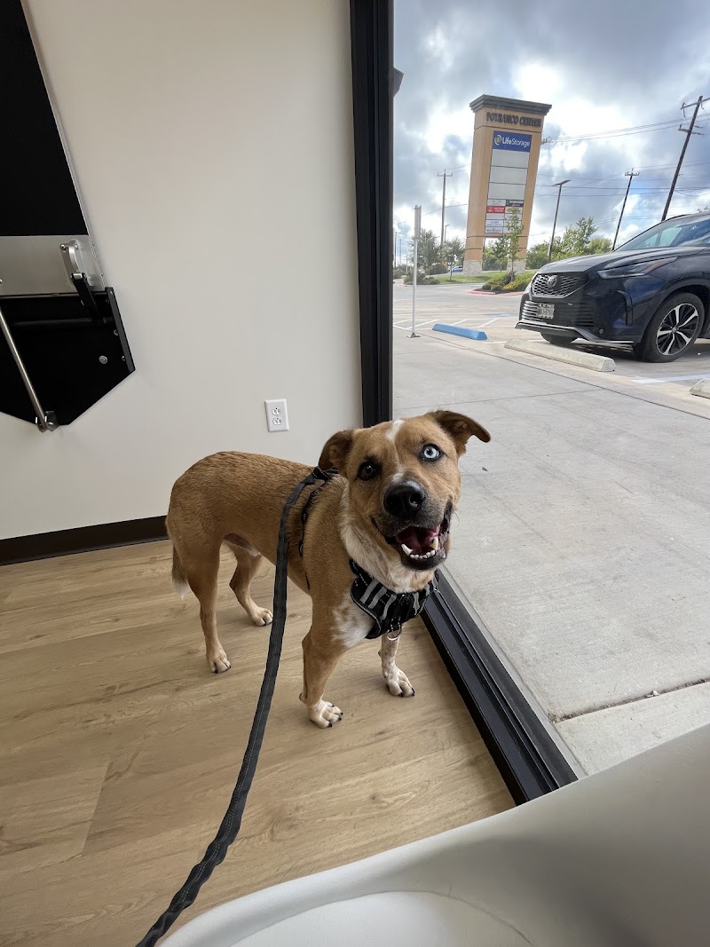 NDS Animal Hospital