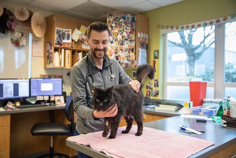 VCA Northwest Veterinary Specialists